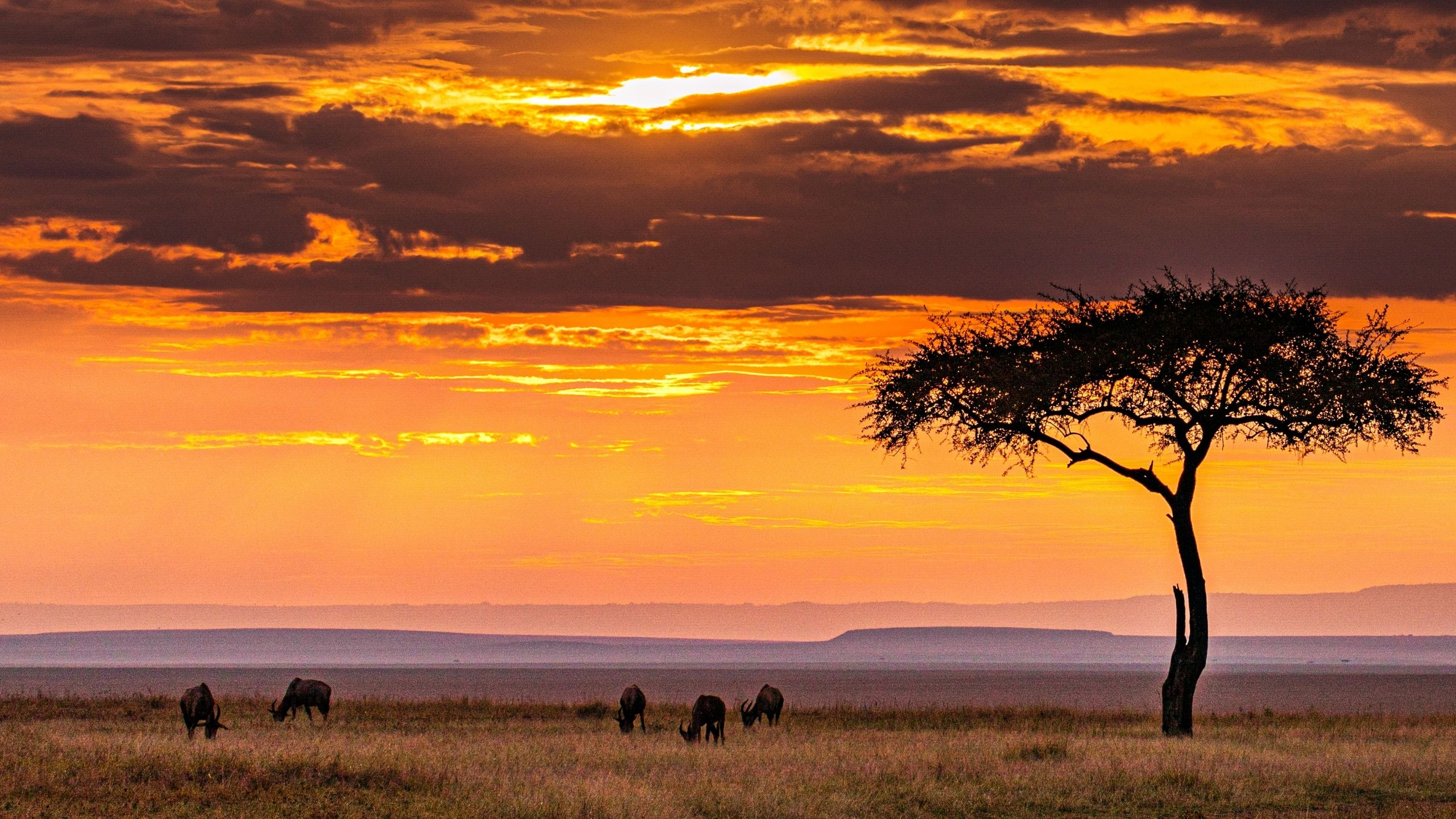 African trade corridor landscape at dusk